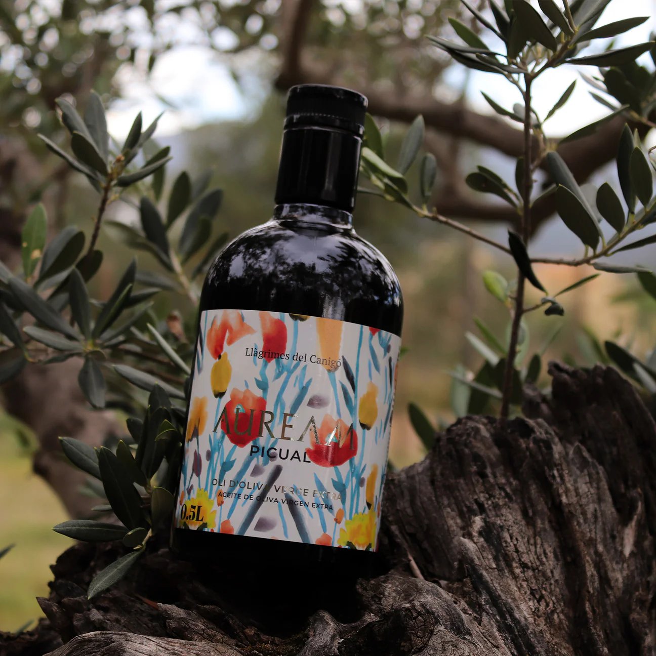 Auream Picual – Premium Spanish Extra Virgin Olive Oil (EVOO) 500ml (16.9 fl oz) – Llàgrimes del Canigó