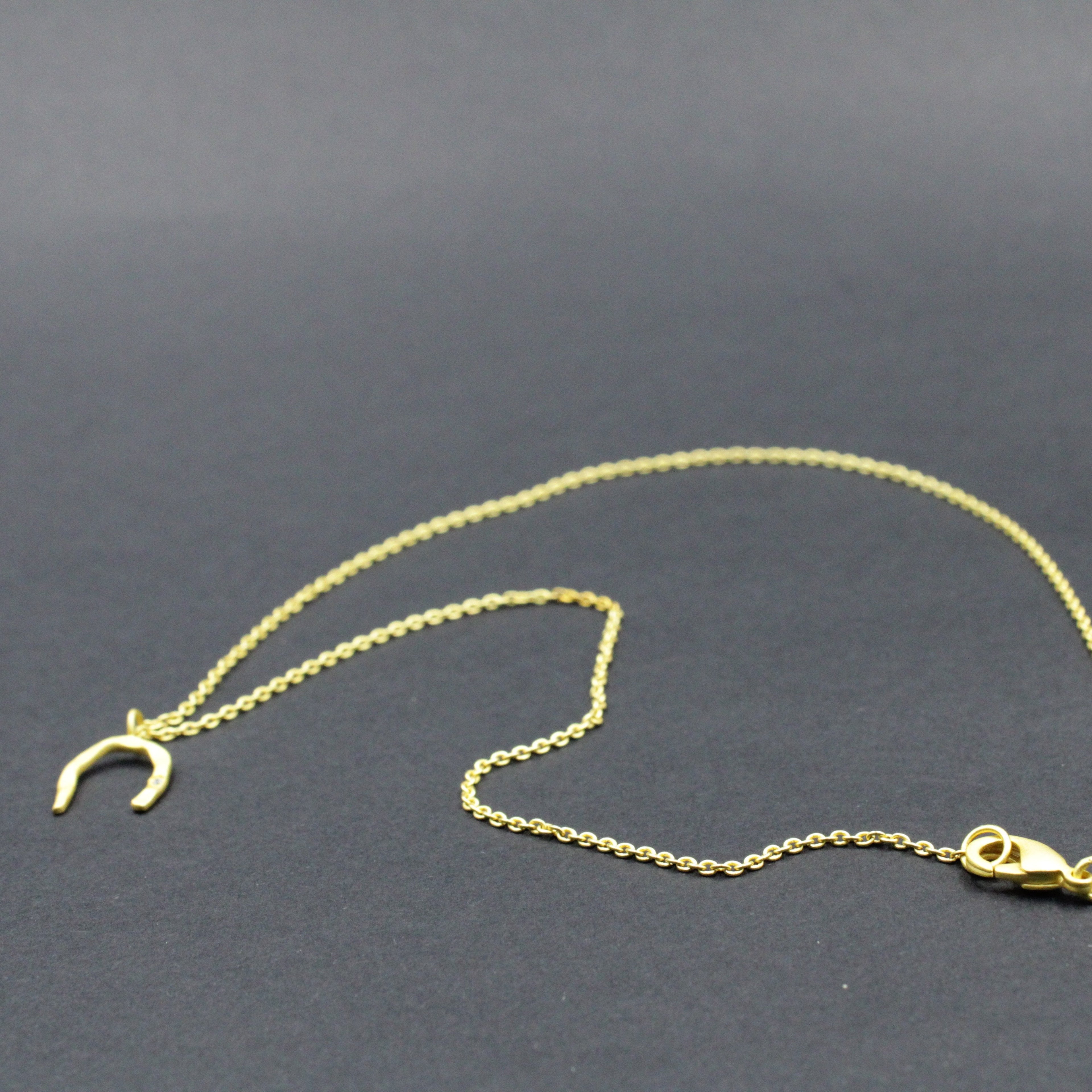 Cadena HERRADURA bañada en oro